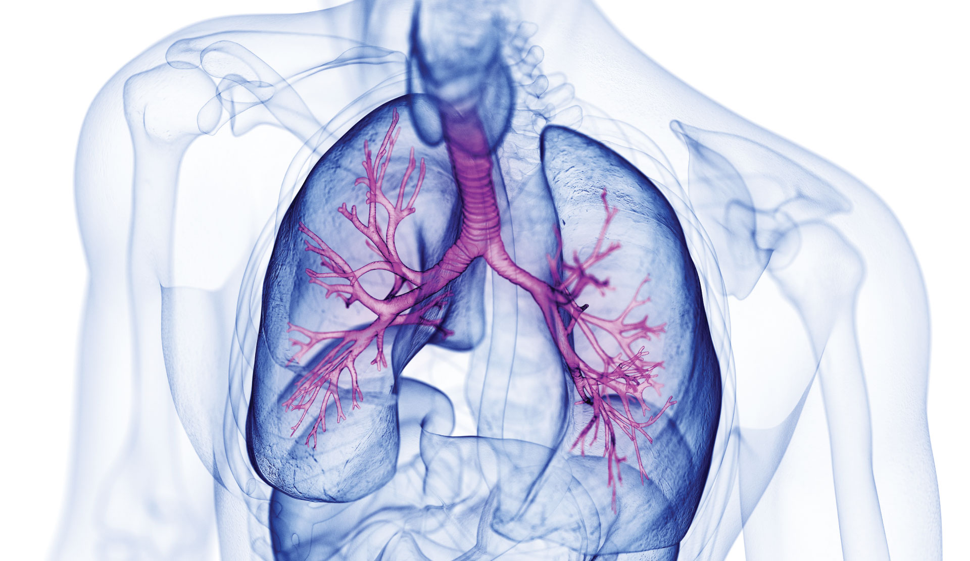 Should you have a lung CT scan? Significant cancer survival rates support screening for at-risk group